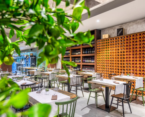 Servizio fotografico ristoranti fotografia con pianta sfocata della bottigliera in mattoni a muro con vini